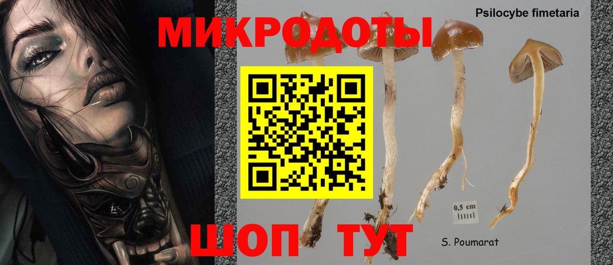 Галлюциногенные грибы Psilocybine cubensis  Вход с VPN  Клинцы 