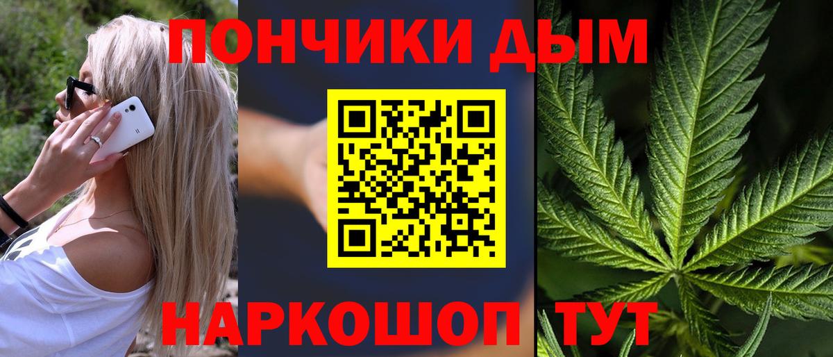 Бошки Шишки индика  Вход с VPN  Клинцы  Бошки марихуана гибрид  Бошки Шишки Bruce Banner 